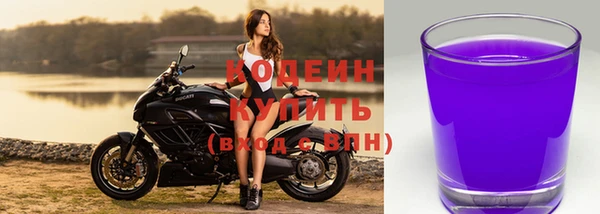 дживик Дмитров