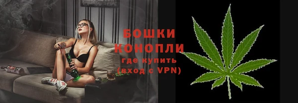 дживик Дмитров