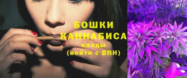 дживик Дмитров